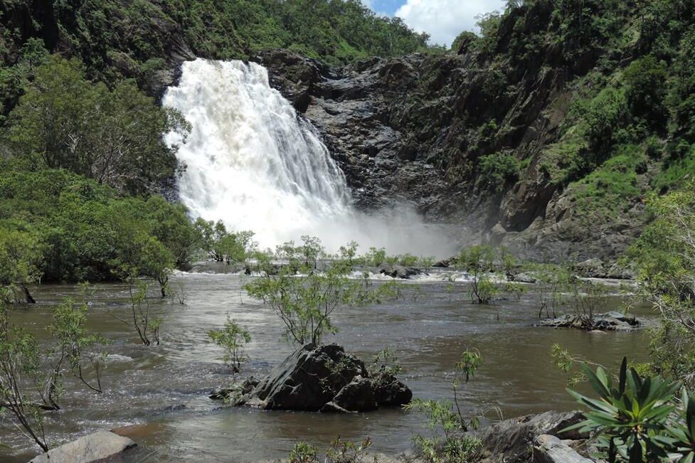 Tony's Tropical Tours to explore Daintree Rainforest