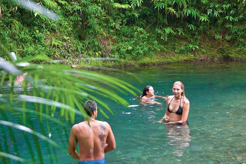 Explore the oldest rainforest on earth - Daintree Rainforest