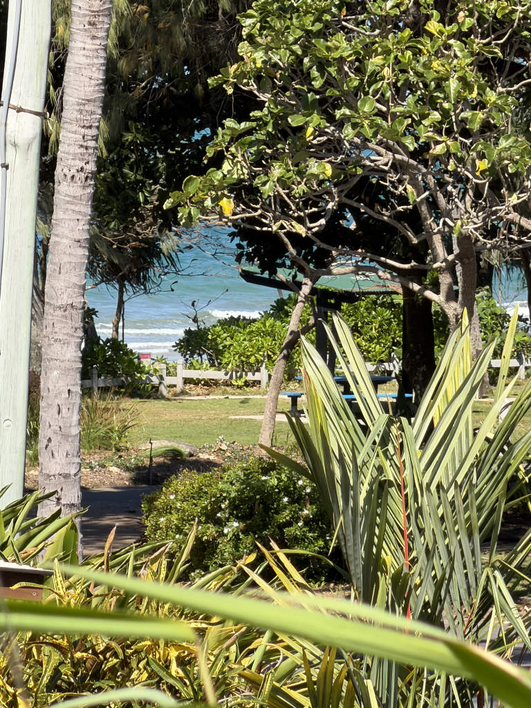 View of Four Mile Beach from Coral Sea Villas